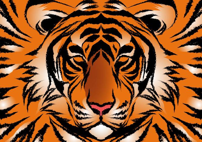 700x490 Striped Bengal Tiger Vector