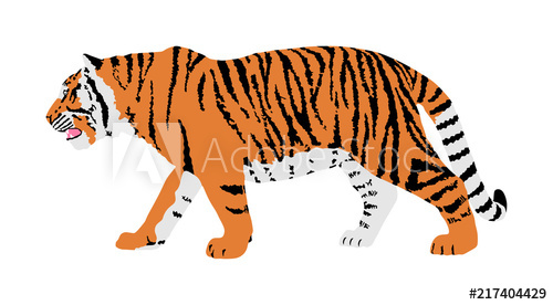 500x276 Tiger Vector Illustration Isolated On White Background Big Wild