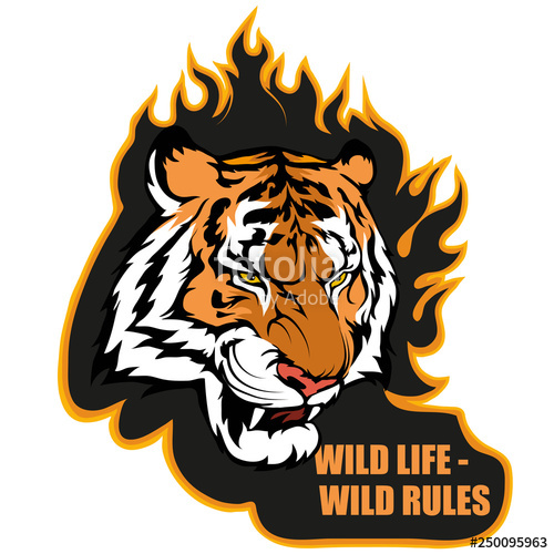 500x500 Wild Life Slogan With Tiger Head On Black Burning Background
