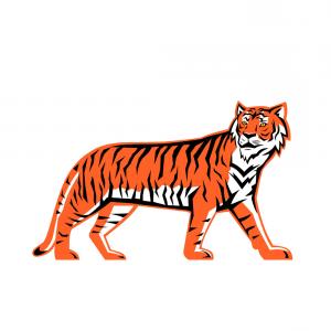300x300 Bengal Tiger Full Body Mascot Vector Hoodamathrun