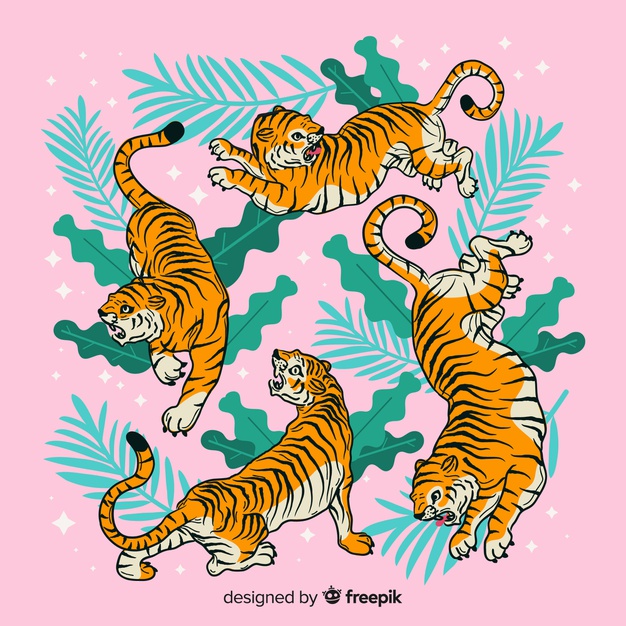 626x626 Bengal Tiger Vectors, Photos And Free Download