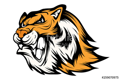 500x334 Bengal Tiger Sports Mascot Logo Tiger Mascot Angry Tiger Face