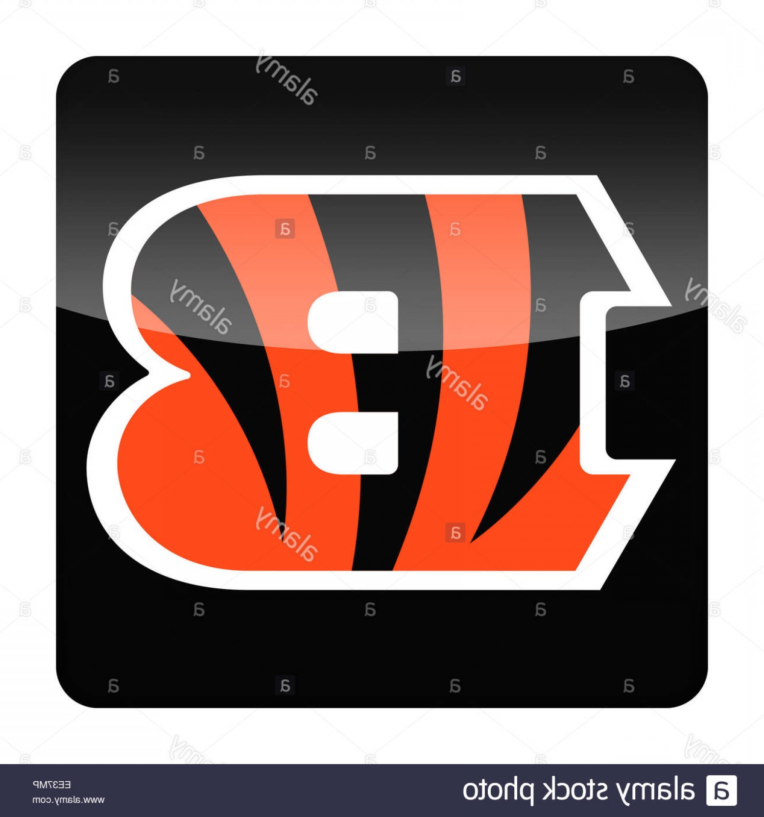 1560x1668 Cincinnati Bengals Logo Vector Hoodamathrun