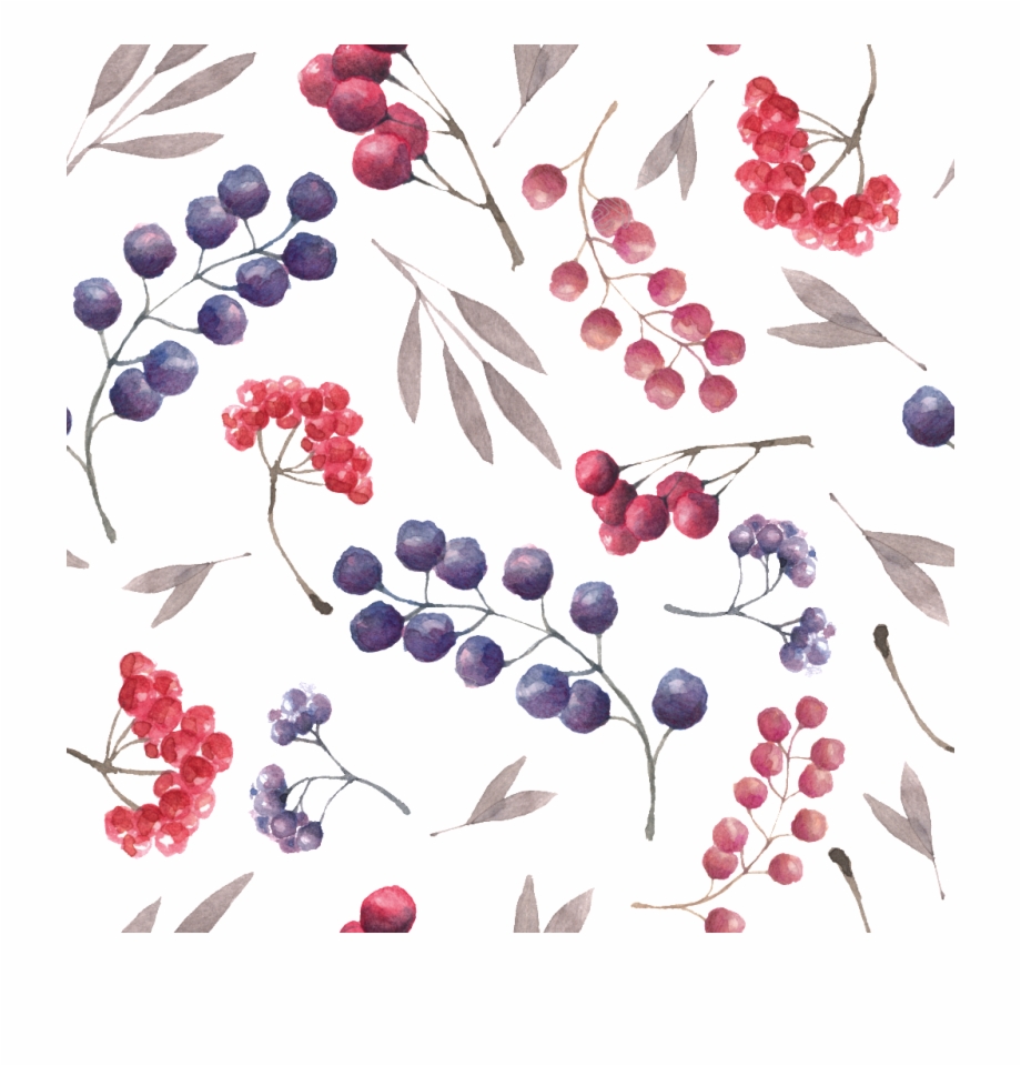 920x960 Berry Vector Cherry Fruit