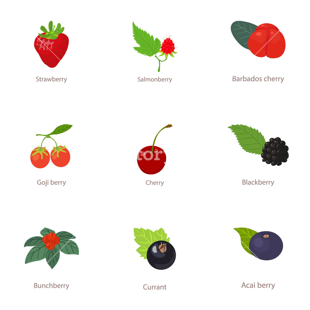 1000x1000 Forest Berry Icons Set Cartoon Set Of Forest Berry Vector Icons