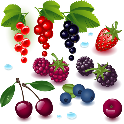500x500 Realistic Fruits And Berry Design Vector Free Download