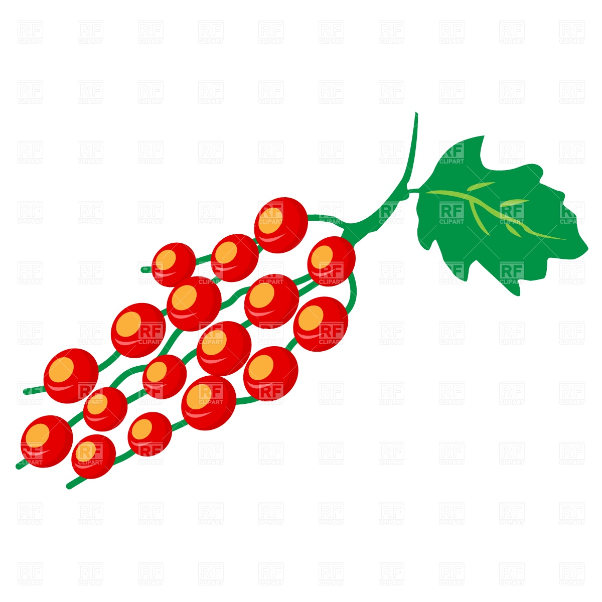 1200x1200 Red Currant Berry Vector Image Of Food And Beverages Prague