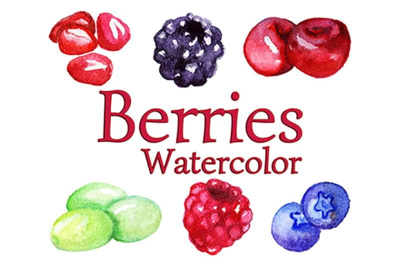 800x532 Watercolor Berry Vector Isolated Set