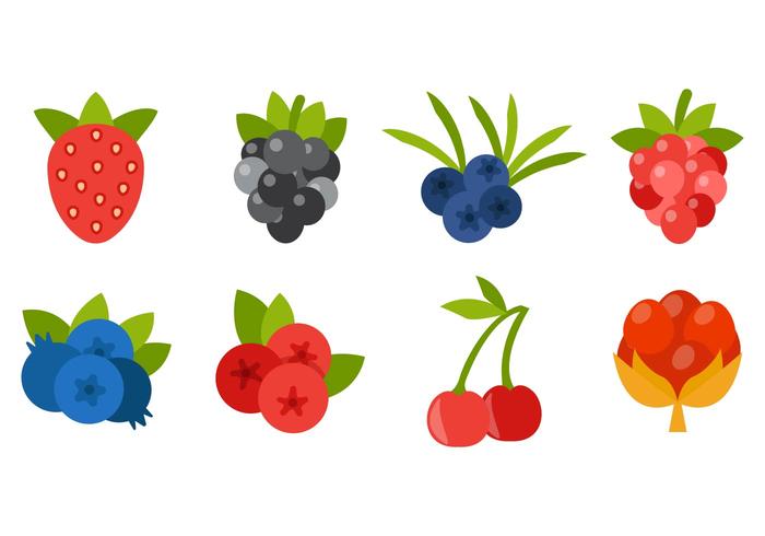 700x490 Berries Icons Vector