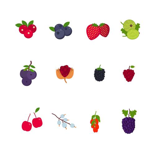 490x490 Berry Fruits Vectors