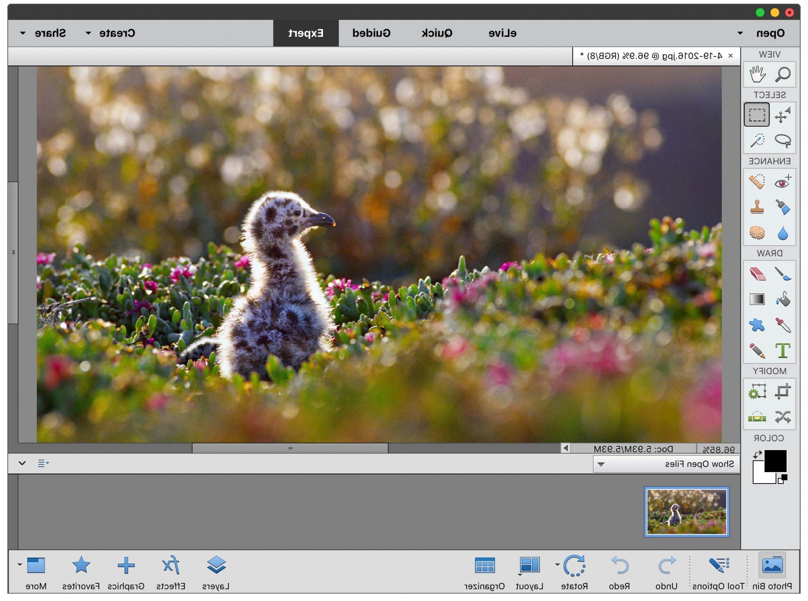 2632x1958 Best Free Cheap Mac Photo Editing Software Apps Soidergi