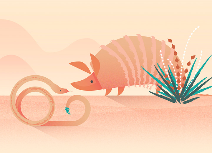 720x520 Animation Software Make Stunning Cartoons Adobe