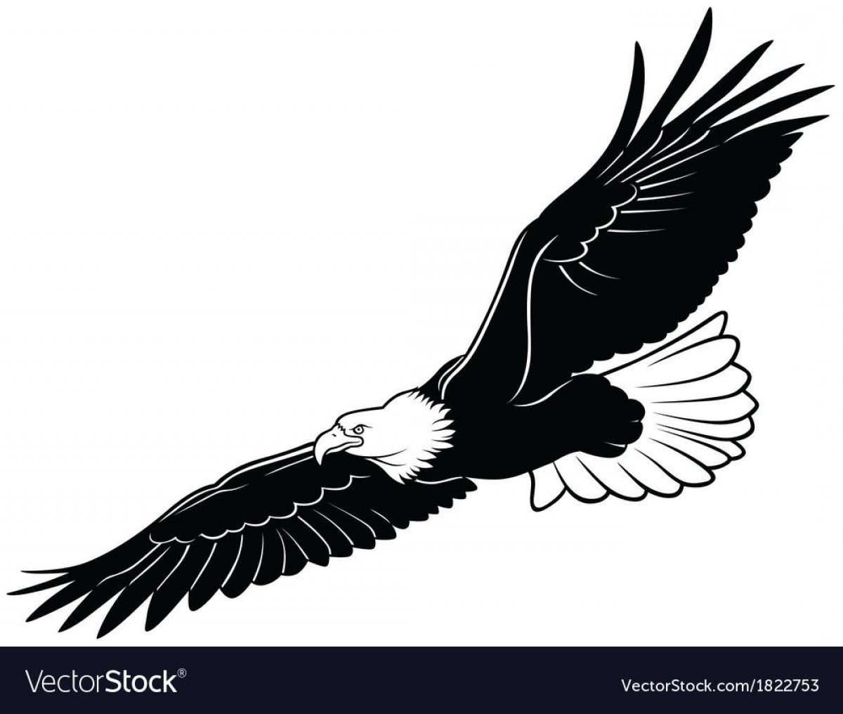 1200x1016 Best Hd Black And White Outline Eagle Vector Pictures Handandbeak