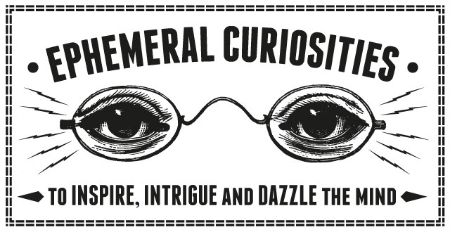 640x330 Find Free Vector Art Online The Best Sites Brayve Digital