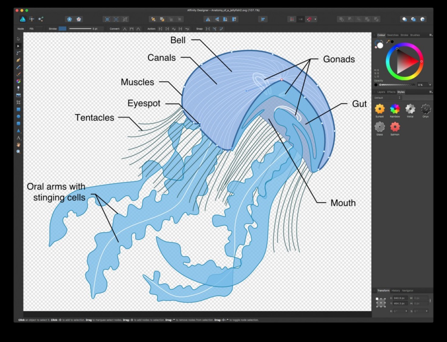 Best vector software at vectorified collection of best vector