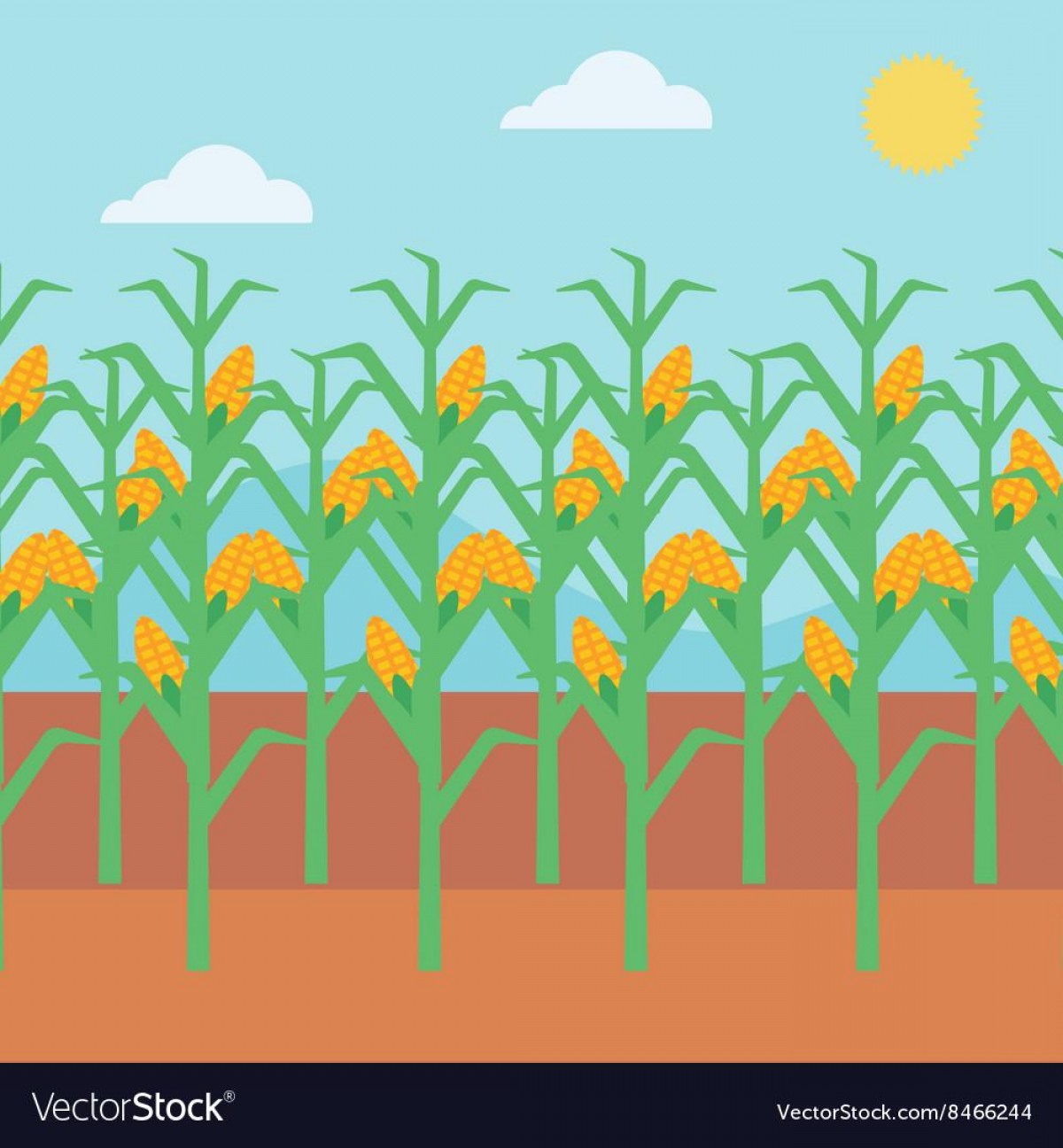 1200x1296 Corn Vector Art Catamart