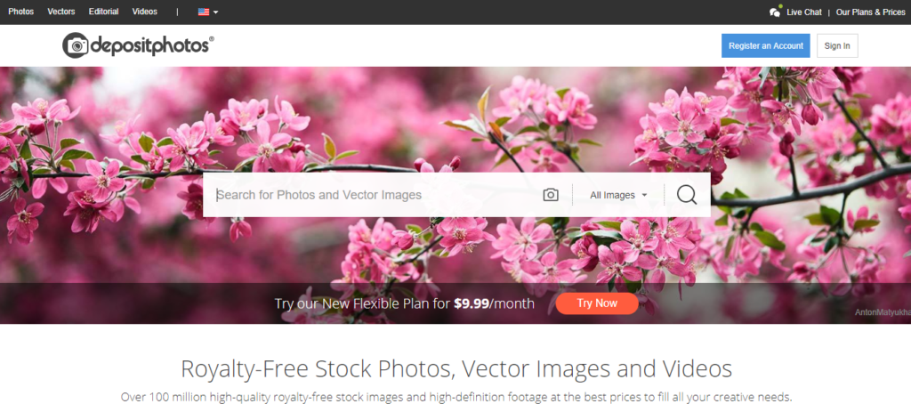 1024x463 Best Free And Premium Stock Photo Sites