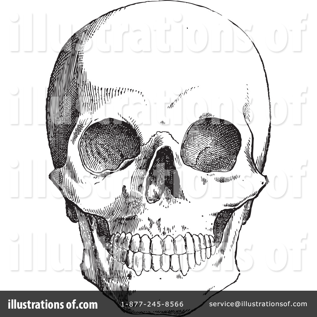 1024x1024 Skull Clipart