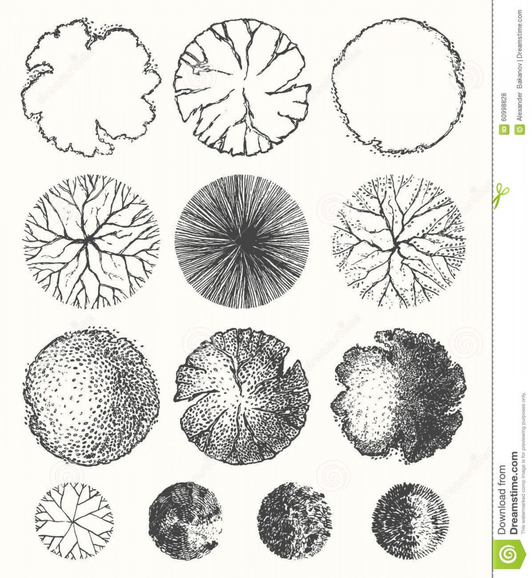 1723x1872 Stock Illustration View Trees Bush Architecture Style Hand Drawn