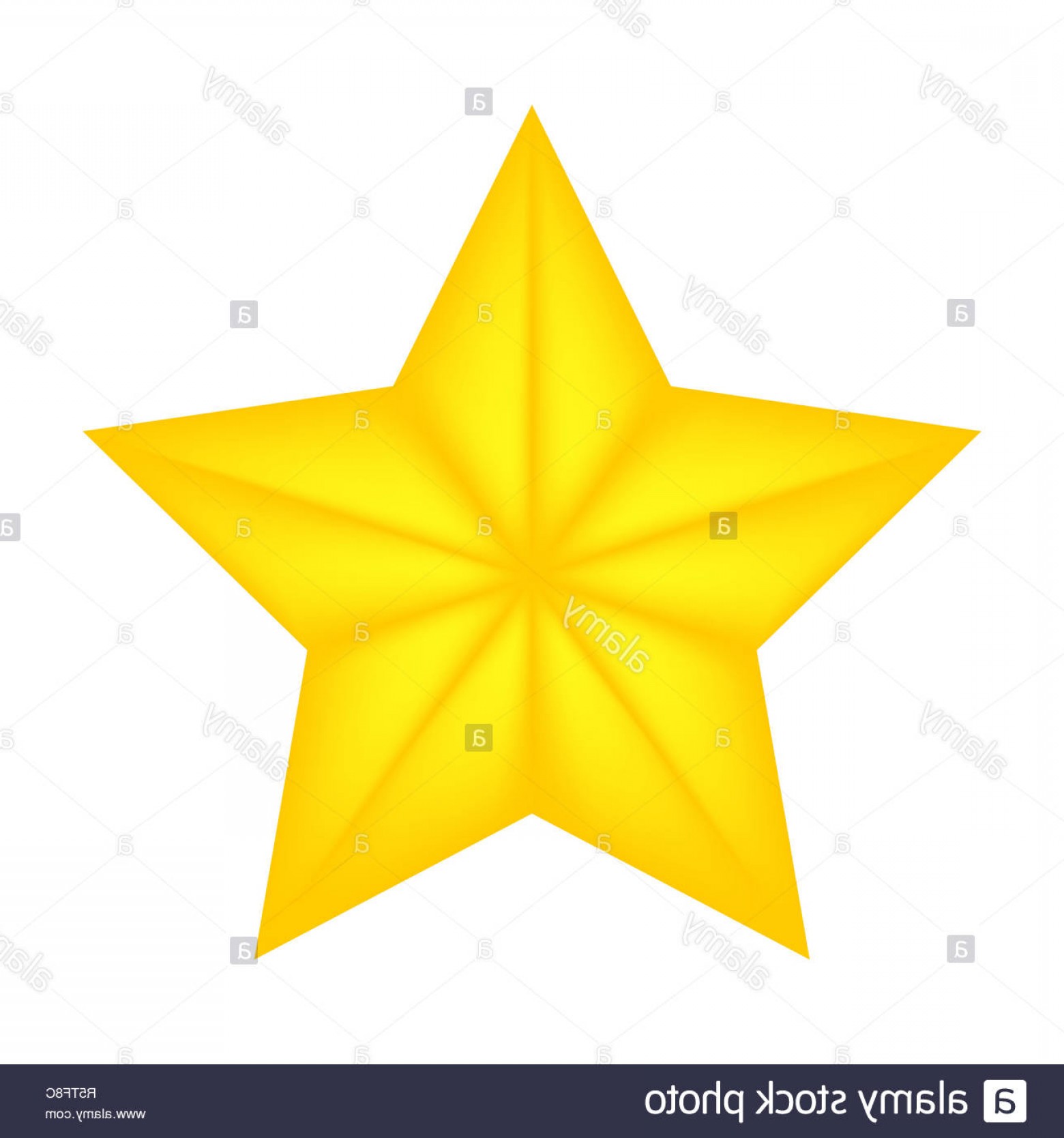 1560x1668 White Star Of Bethlehem Vector Cultracing