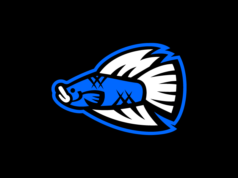 Betta Sports Logo 800x600 Betta Sports Logo