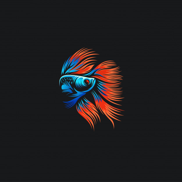 Betta Fish Logo Ilustrations Vector Premium Download 626x626 Betta Fish Logo Ilustrations Vector Premium Download