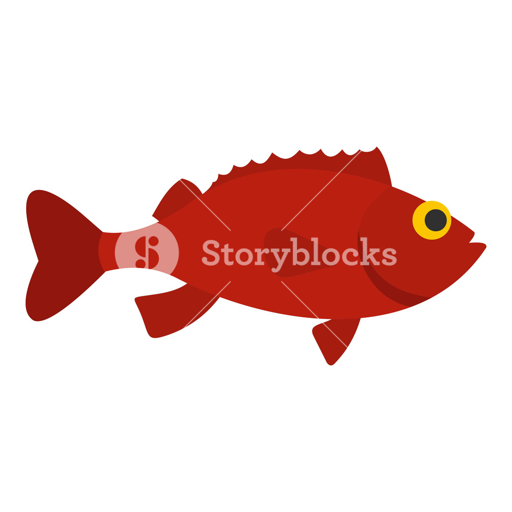 Red Betta Fish Icon Flat Isolated On White Background Vector 1000x1000 Red Betta Fish Icon Flat Isolated On White Background Vector