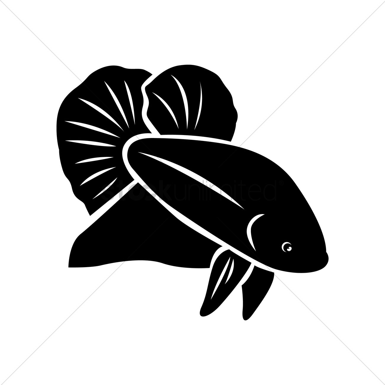 1300x1300 Betta Fish Vector Image