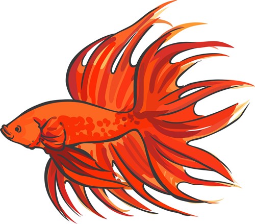 Download Betta Fish Vector at Vectorified.com | Collection of Betta ...