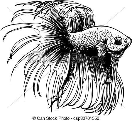 450x410 Clipart Vector Of Betta Splendens, Siamese Fighting Fish Art