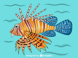 300x224 Halfmoon Betta Fish Free Download Creazilla