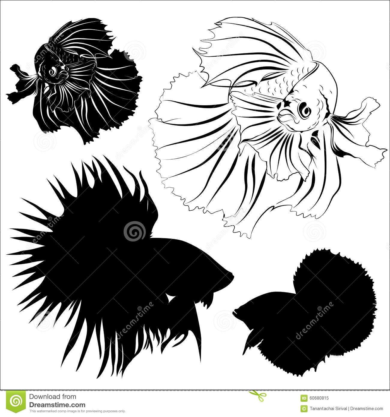 1300x1390 Siamese Fighting Fish Vector Stock Vector