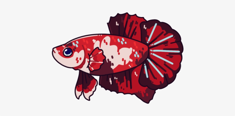 Download Betta Fish Vector at Vectorified.com | Collection of Betta Fish Vector free for personal use