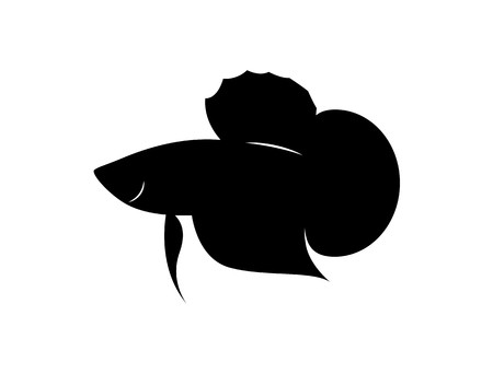 Download Betta Fish Vector at Vectorified.com | Collection of Betta ...