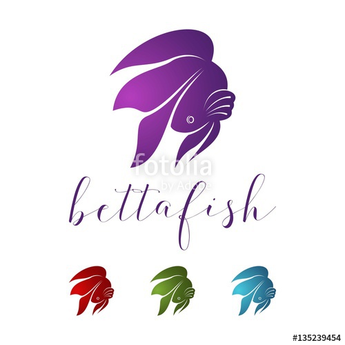 Download Betta Fish Vector at Vectorified.com | Collection of Betta ...