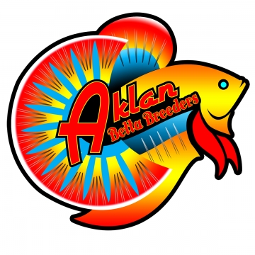 360x360 Betta Fish Png Images Vector And Free Download