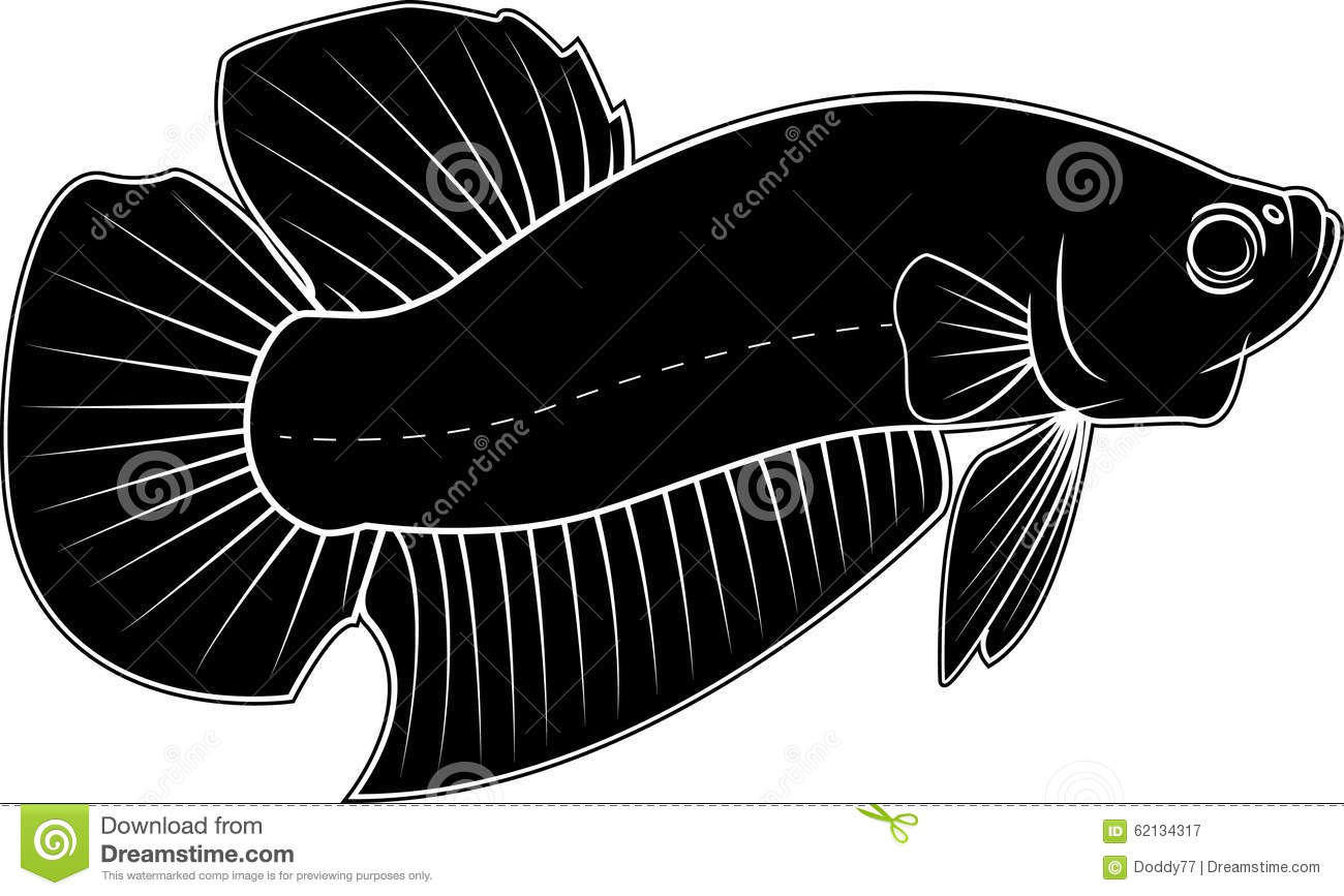 1300x867 Betta Fish Silhouette