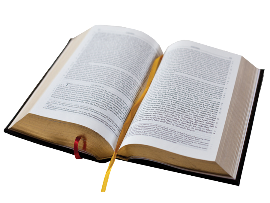 Use These Bible Vector Clipart 900x676 Use These Bible Vector Clipart