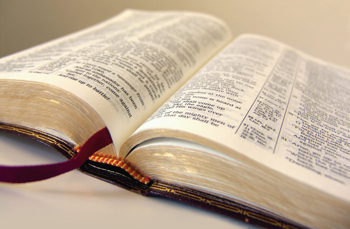 700x458 Biblia Vector Drawing