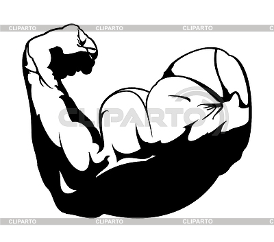 400x353 Biceps Stock Photos And Vektor Clipart Cliparto