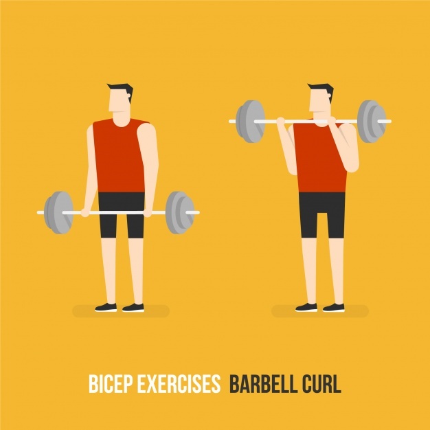 626x626 Biceps Vectors, Photos And Free Download