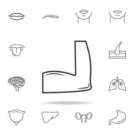 450x450 Flexing Bicep Muscle Icon With Other Elements Vector Illustration