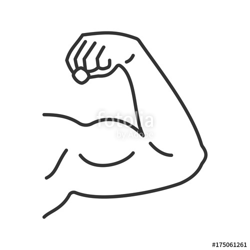 500x500 Male Bicep Linear Icon Stock Image And Royalty Free Vector