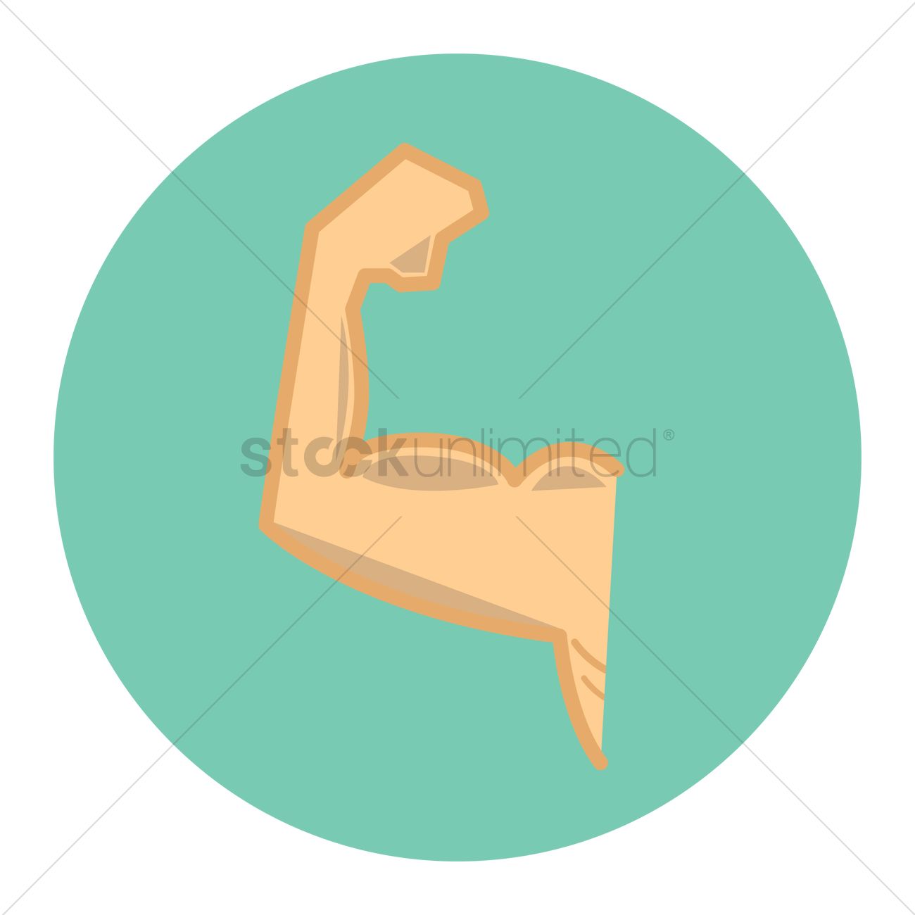 1300x1300 Arm Flexing Bicep Muscle Vector Image
