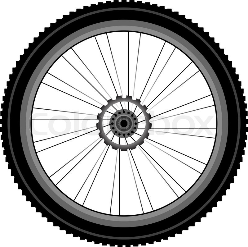 Bike Wheel With Tire And Spokes Stock Vector Colourbox 800x795 Bike Wheel With Tire And Spokes Stock Vector Colourbox