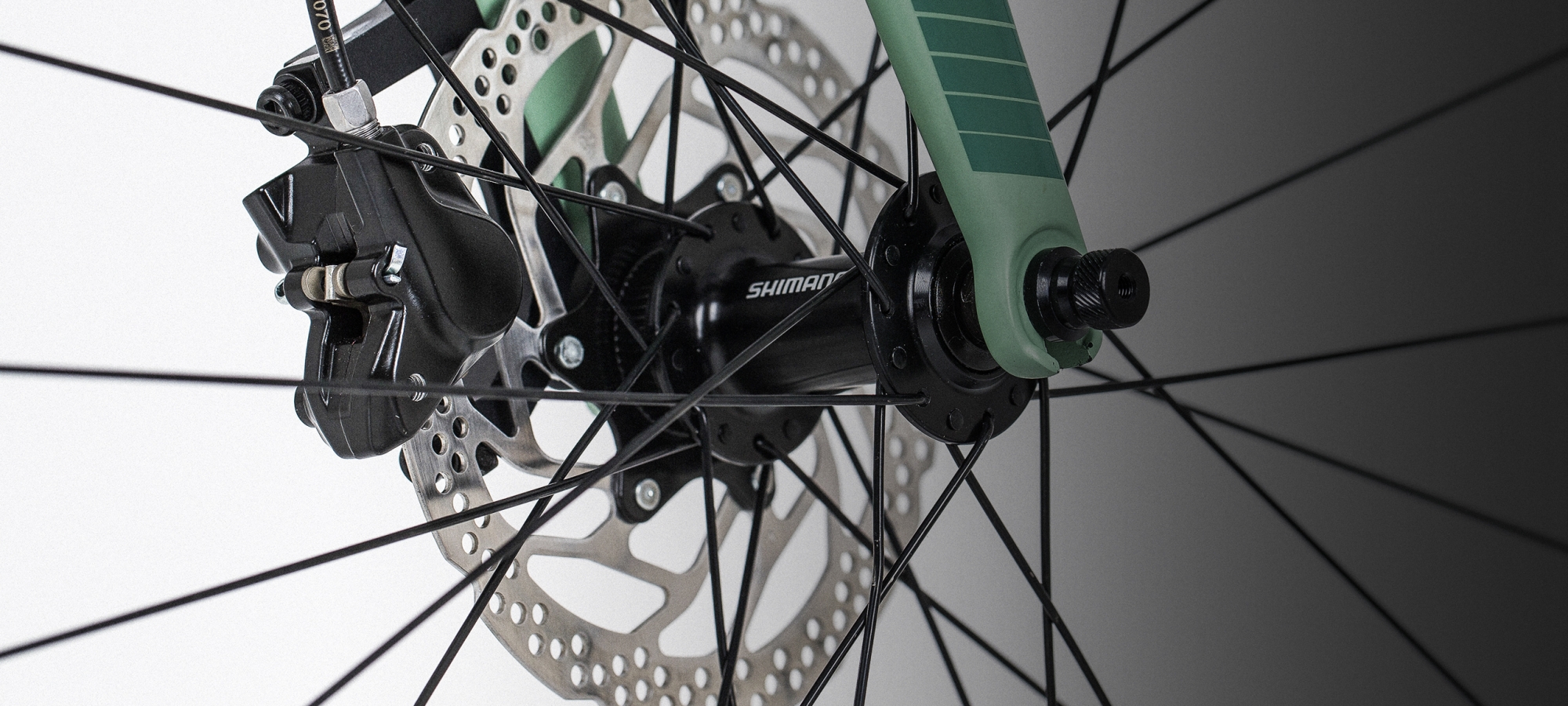 Vector Orbea 2000x900 Vector Orbea