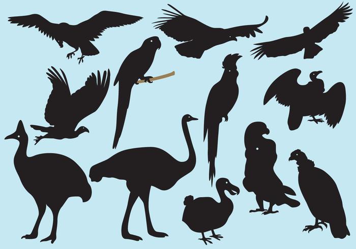 700x490 Big Bird Silhouettes