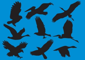 285x200 Bird Silhouette Free Vector Graphic Art Free Download