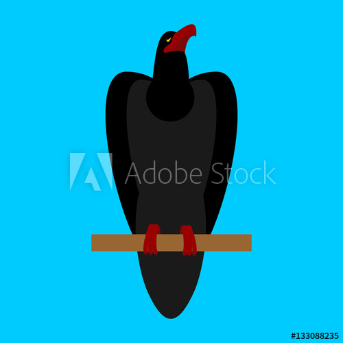 500x500 Black Raven Isolated Big Bird On Blue Background