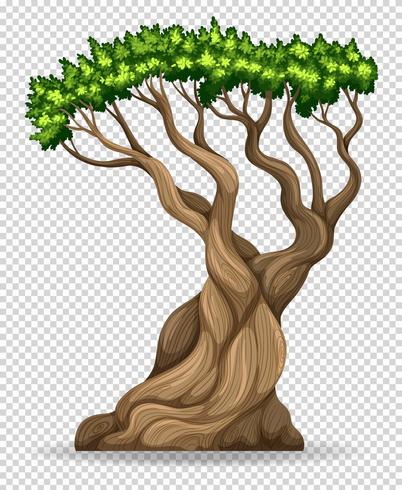 402x490 Big Tree On Transparent Background
